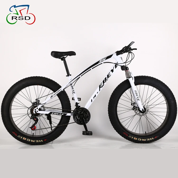 what is the price of fat bike