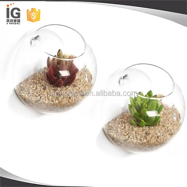 1pc Glass Hanging Plant Terrarium Flower Vase Fish Pot Wall Ball Container US 