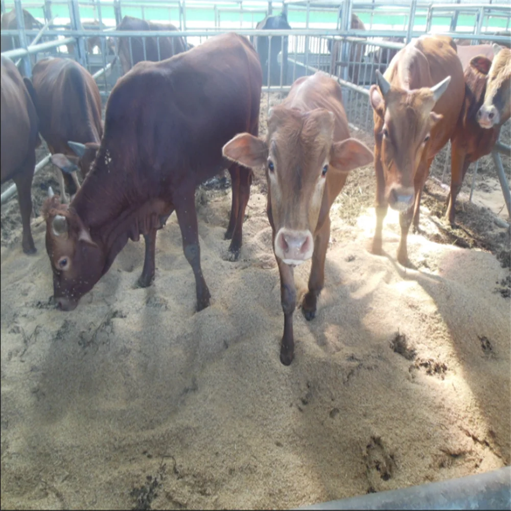 PANGOO Biobed Высокие экологические адаптации