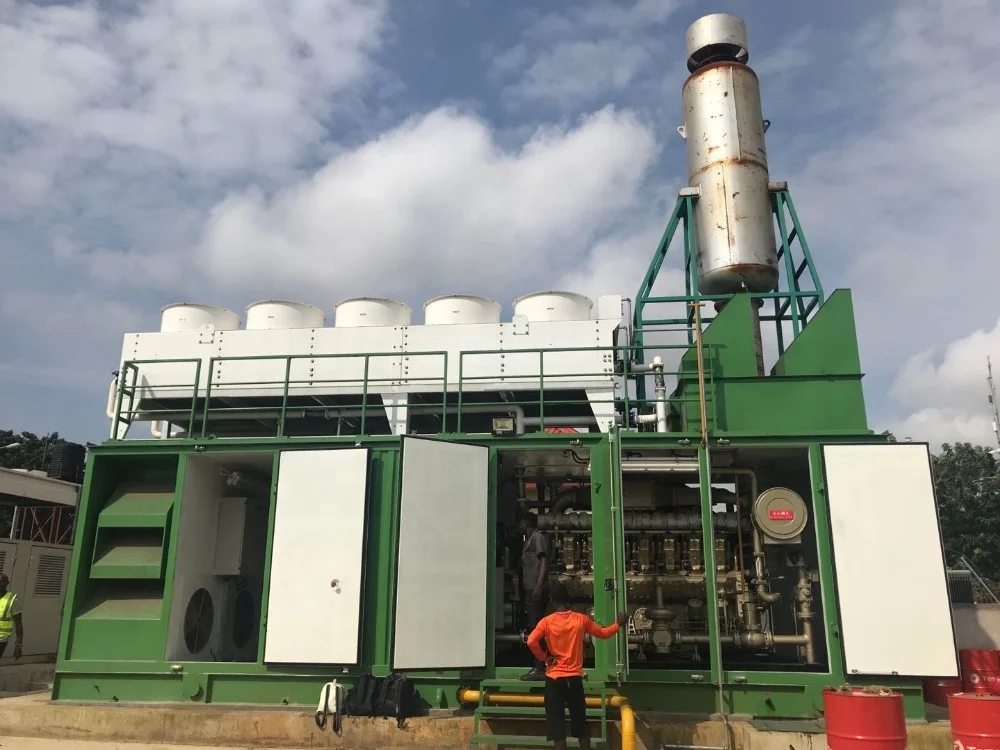 10MW Waste Biomass Gasification Power Plant Rice Husk Gasifier Electric Generator Wood Chips Gas Plant