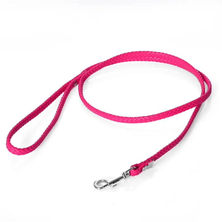 retractable yard leash