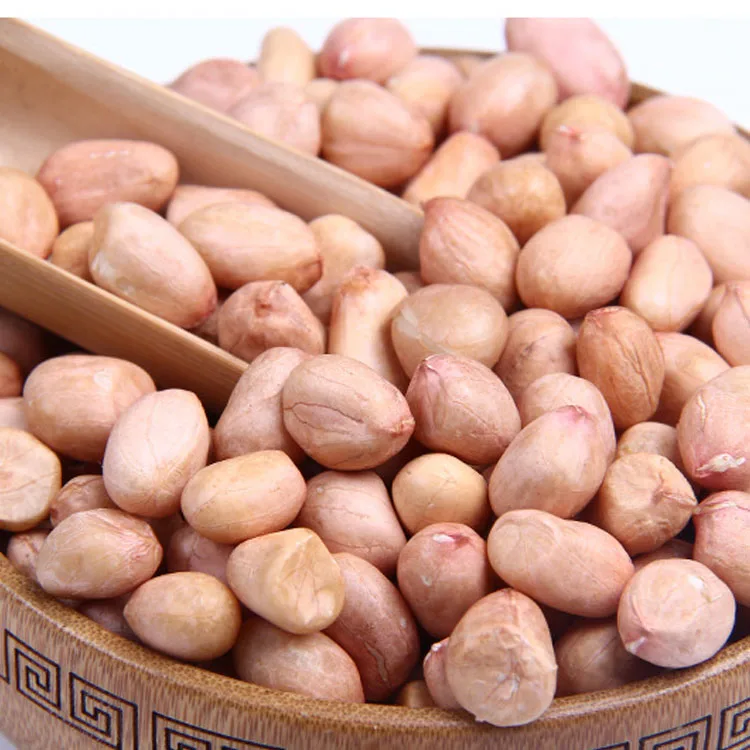 Новый урожай семян арахиса длинного типа по заводской цене
