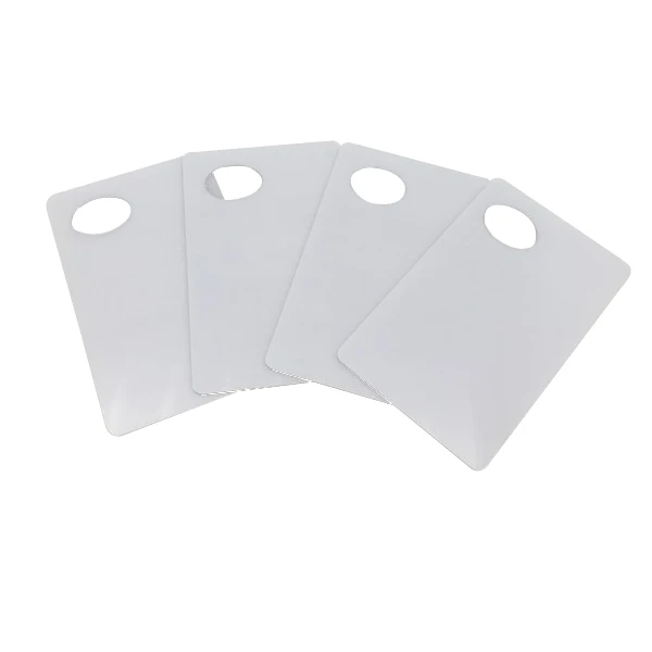 Custom Printing Plastic Transparent Window PVC Card with Magnetic Stripe