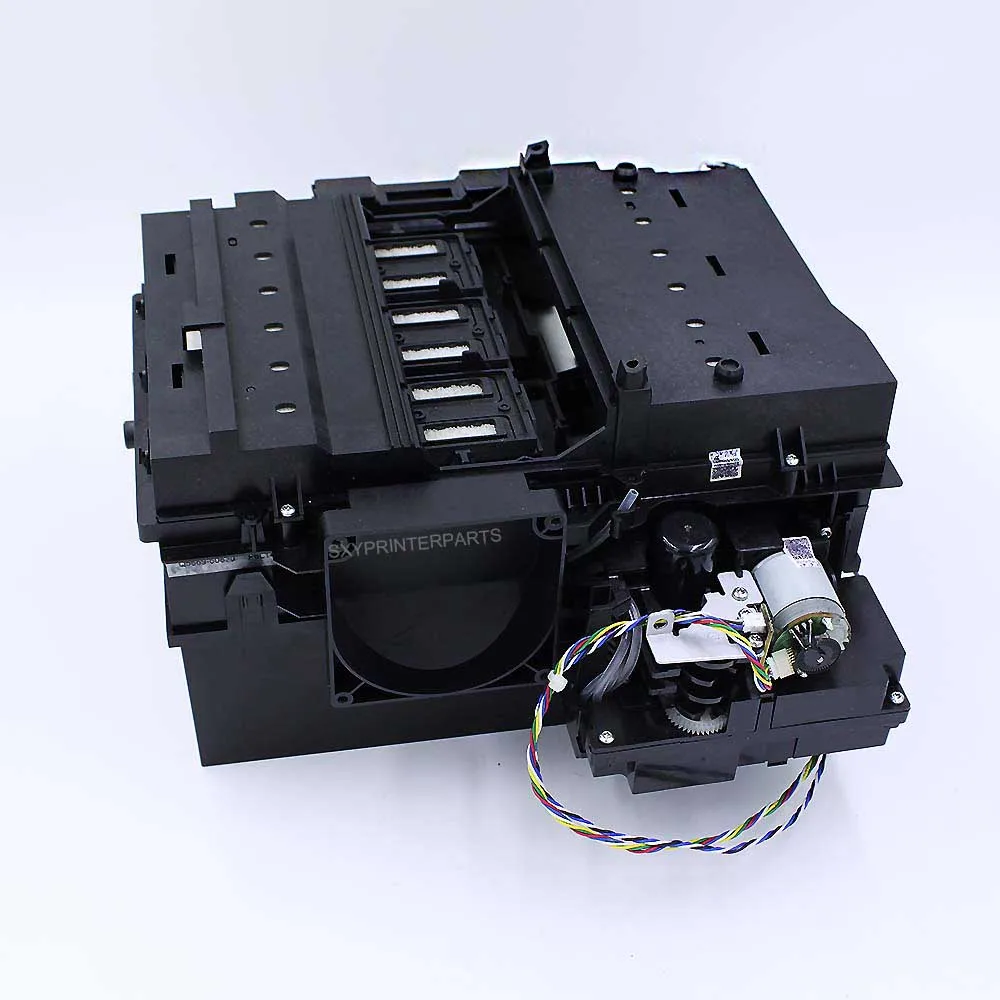 plotter printing services