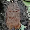 Marrón