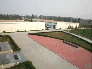 Tianjin Grand Paper Industry Co., Ltd. 2
