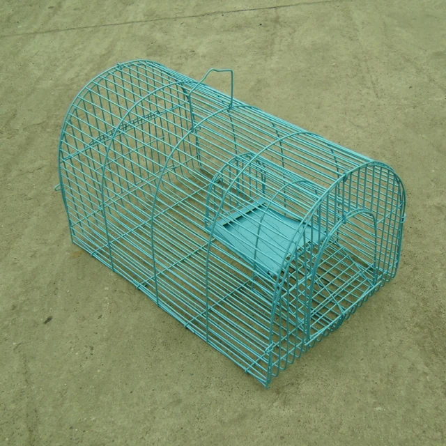 2pcs Reusable Galvanized Iron Rat Cage Mouse Trap Rodents Catcher Double  Door Mousetrap For Indoor Outdoor Pest Control - Traps - AliExpress