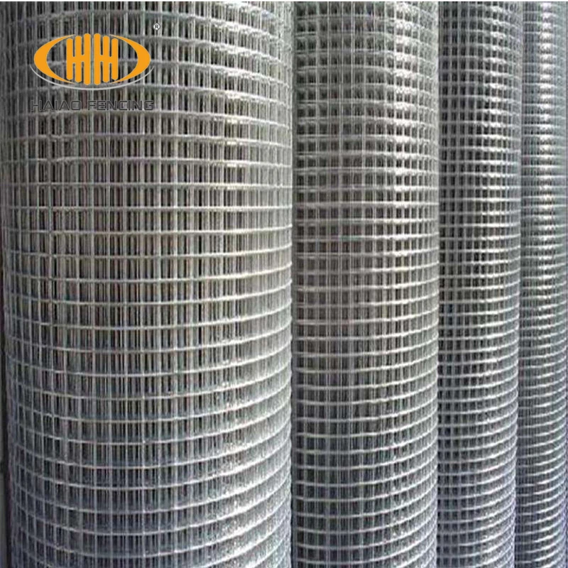 China Professional Cheap Galvanized Wire Mesh Rolls 1 2 Inch Square Hole Welded Wire Mesh Pvc Coated Welded Wire Mesh Buy Galvanized Wire Mesh Rolls 1 2 Inch Square Hole Welded Wire Mesh Galvanized Pvc Coated Welded Wire