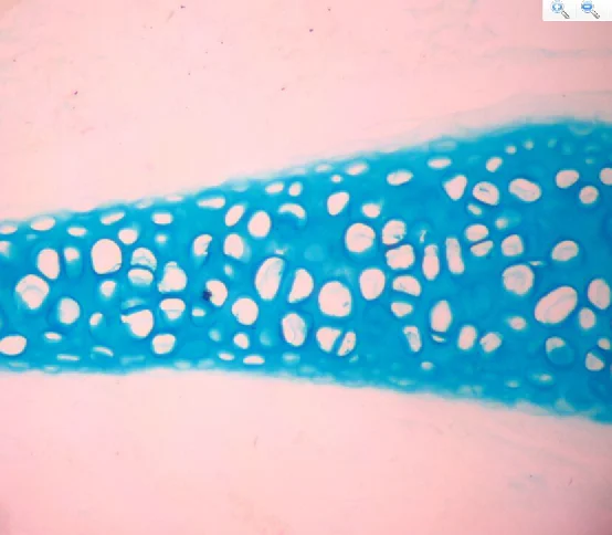 アルシアンブルー軟骨ステインソリューション、PH1.0| Alibaba.com