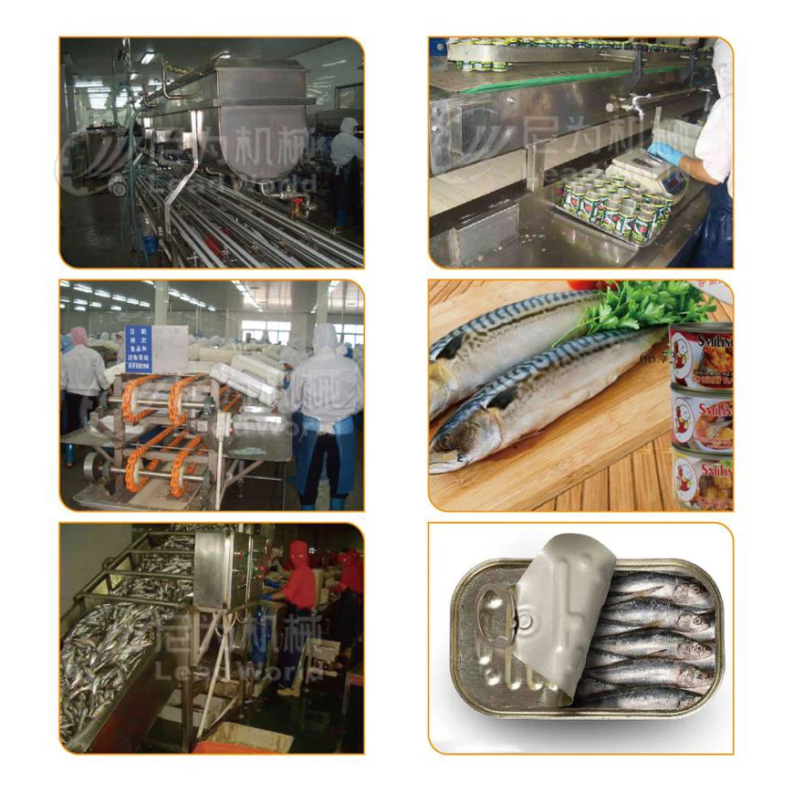 Leadworld Automatic Canned Sardine Tuna Bass Fish Line