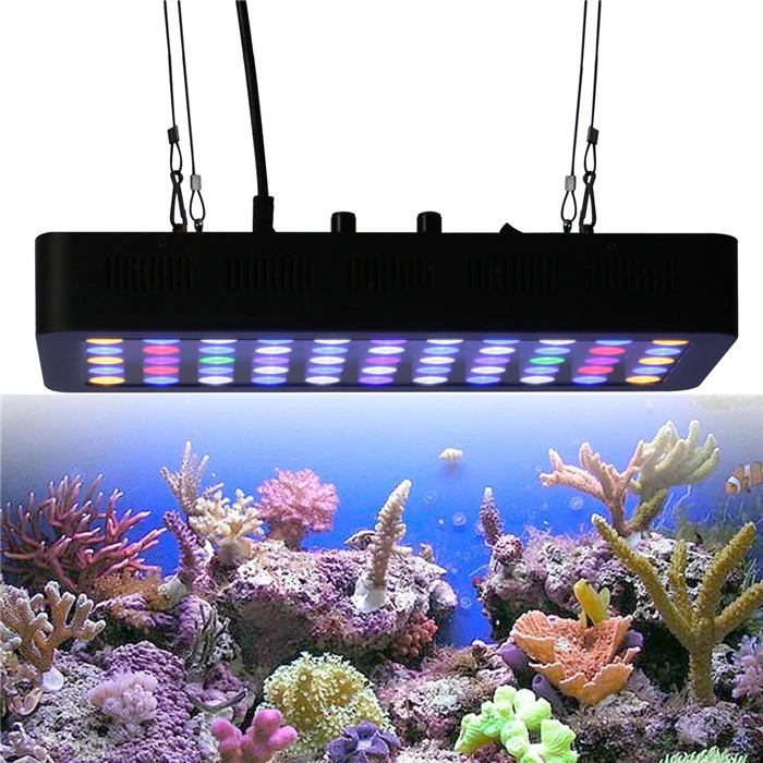 Chinese Sunrise 165W Full Spectrum LED Aquarium Light for Coral