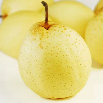 Chinese fresh yellow Ya pear