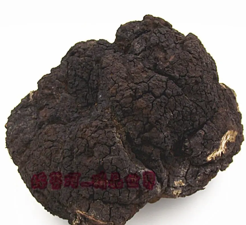 Оптовая продажа чай из грибов Чаги сибирской Сибири для продажи