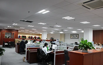 Hangzhou Fuyang Lingfeng Imp&exp Co., Ltd. 2