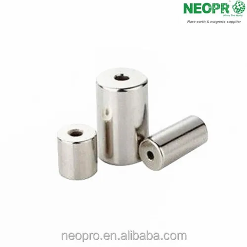 Оптовая громкоговоритель ферромагнитных редкоземельных Неодимовый магнит