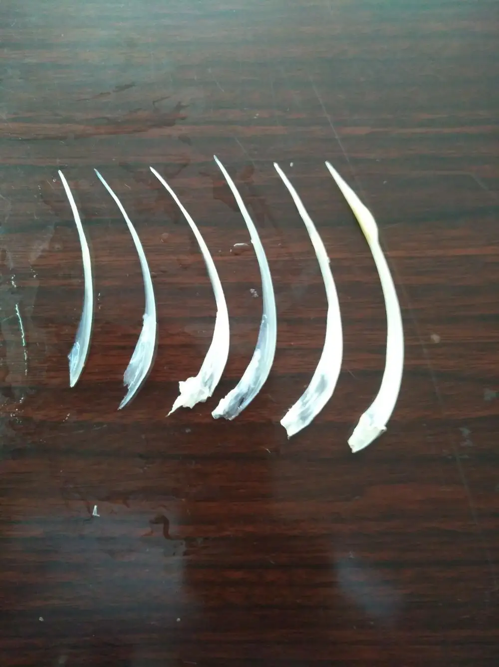 2018 устройство для удаления костей рыбы