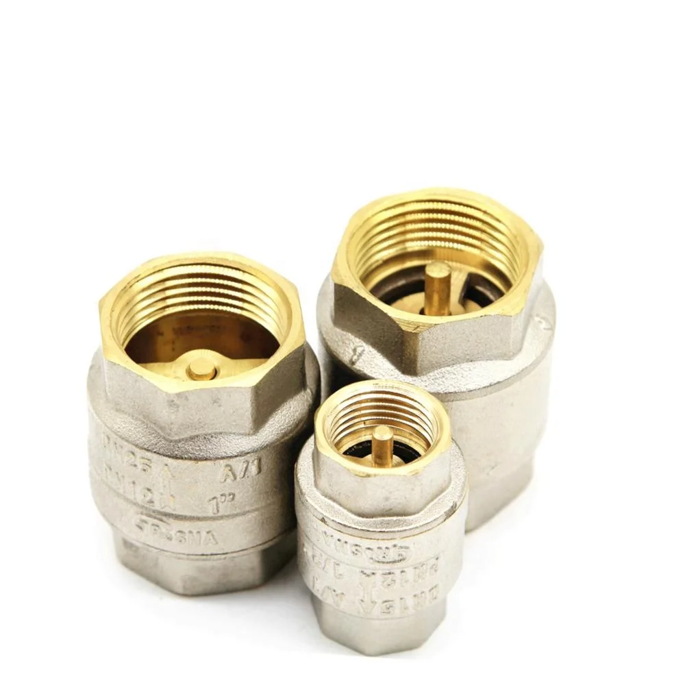 Vertical pressure washer Brass 4 inch check valve price Water Spring swing one way Check Valve Urumq