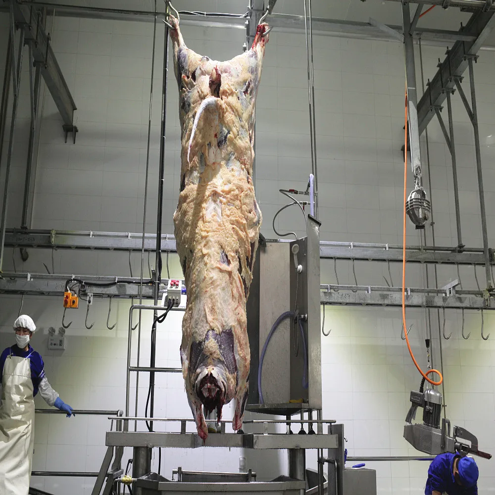 Cattle Slaughter Line Slaughterhouse/Goat Sheep Buffalo Abattoir Equipment