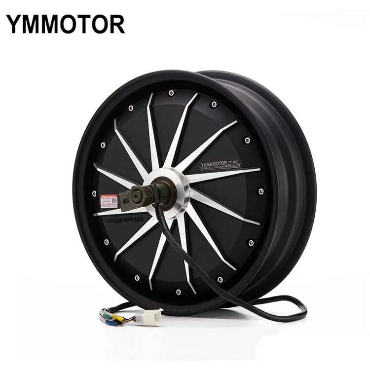Bldc Electric Wheel Hub Motor 