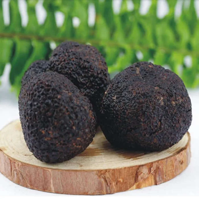 High Quality Black Truffle Wholesale Fresh Black Truffel Mushroom Buy