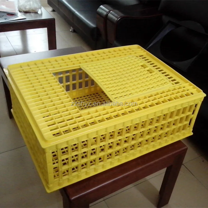 yellow box wholesale