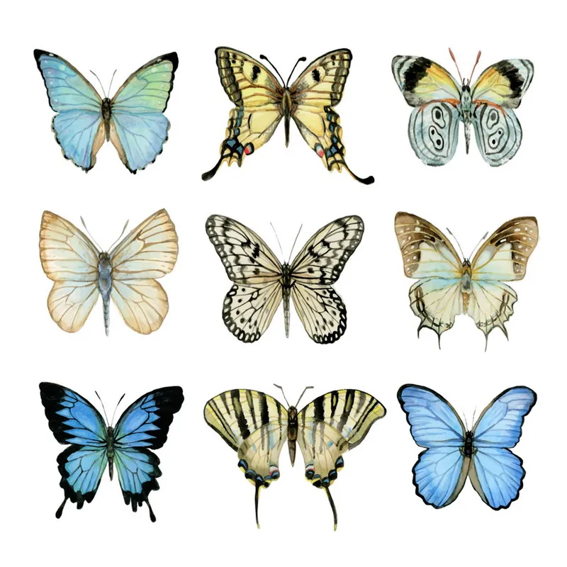 Download Wholesale Colorful 3d Butterfly Canvas Oil Painting For Hotel Buy Butterfly Oil Painting 3d Oil Painting Oil Canvas Painting Product On Alibaba Com