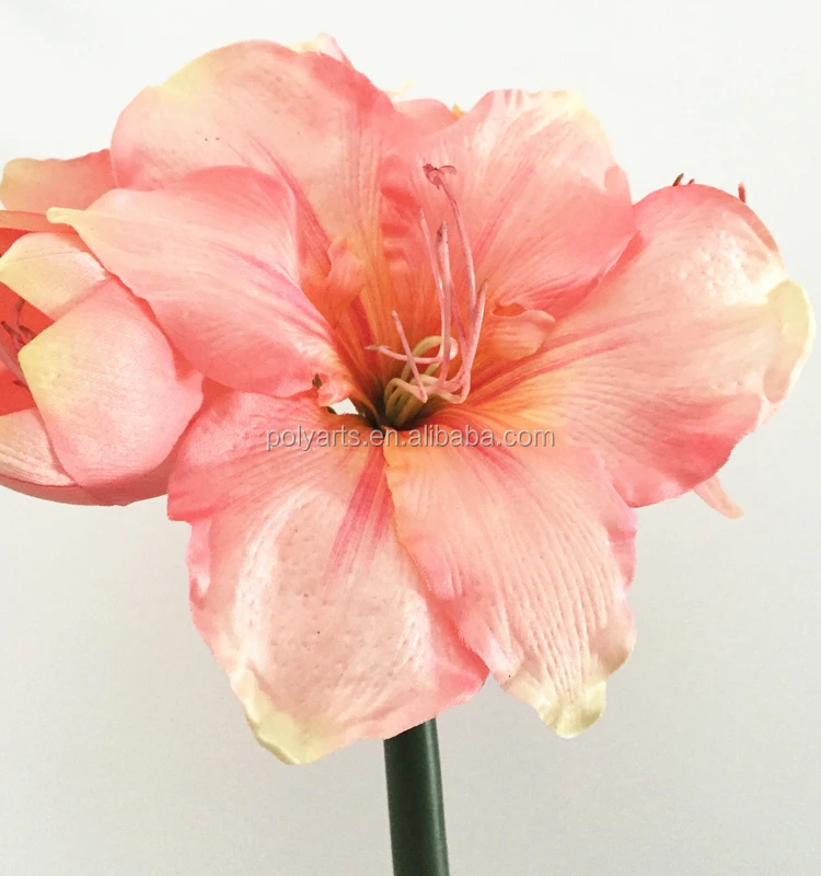 New Arrival Real-touch Silk Artificial Amaryllis with Foam Stem