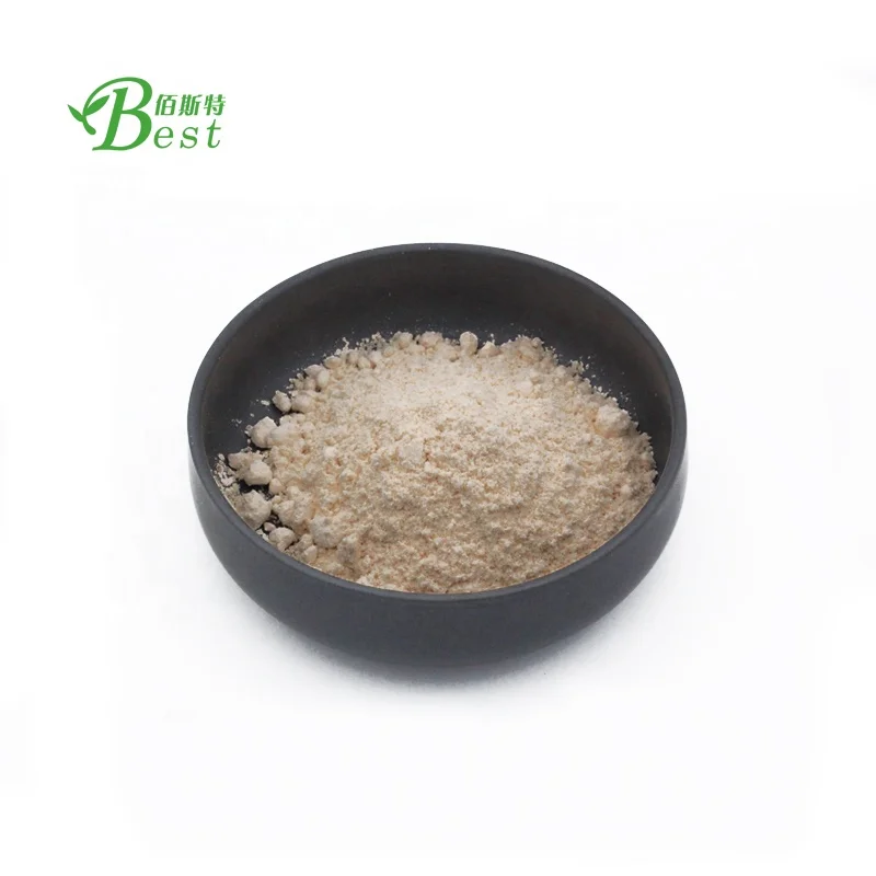 100% Pure Garlic Extract Allicin 5:1 with Wholesale Price