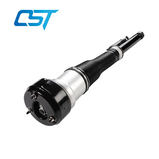 Rear Left Strut Shock Absorber for Mercedes Benz S350 S500 W221 2213205513