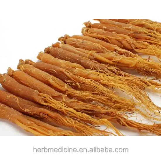 Korean Red Ginseng Roots For Sale Directly From Producer Buy Korean Red Ginseng Korean Red Ginseng Root Red Ginseng Product On Alibaba Com
