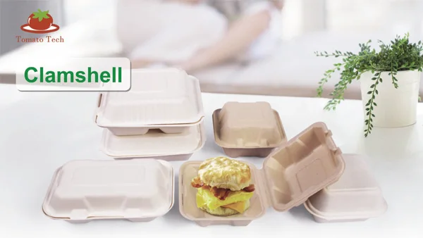 Natural Disposable Packing - Sugarcane Pulp Bagasse Mexico Taco Box
