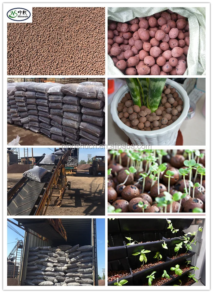 Aquaponics Lightweight Expanded Clay Pebble As Bio Filter Media for Waste Water Treatment