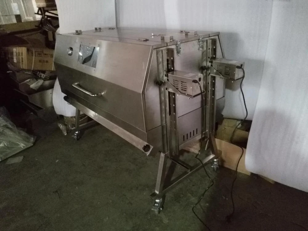 Double Roast Position Spit Roaster Party Bbq Barbecue Grill with Hood Gas Grills Food Grade Stainless Steel 304 HDL04