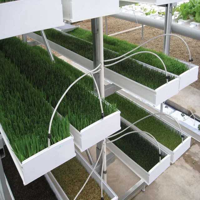 Greenhouse Fodder Hydroponic Growing System Complete Vertical Indoor Hydroponic Lighting Growing Systems