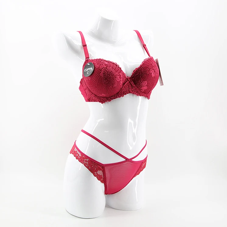 28 32 34 34b 36 36c 38 40 Plus Size Women Lace Net Transparent Sexy Fancy Ladies Briefs Panties And Bra Sets Stylish New Design Buy Sexy Transparent Ladies Underwear Panties Women Underwear Panties Underwear Panties Product On Alibaba Com