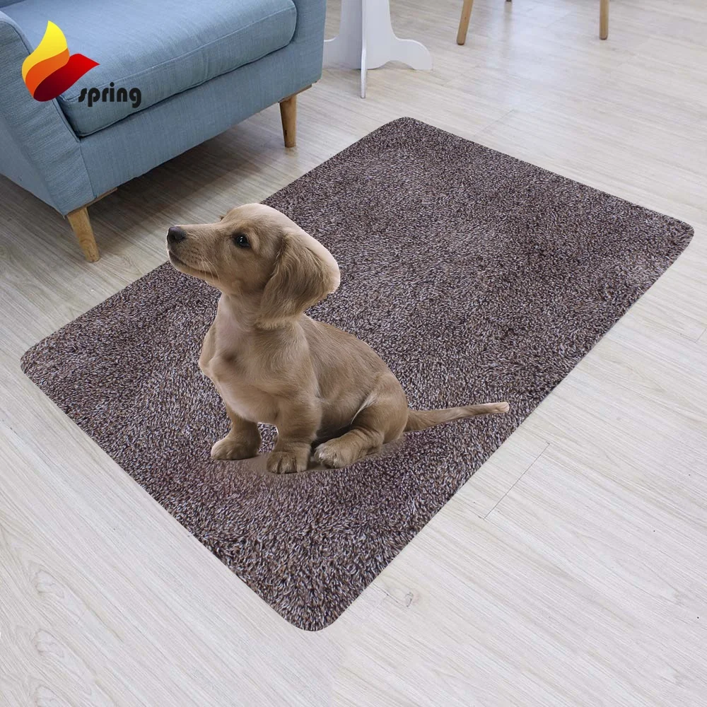 dog paw cleaning rug