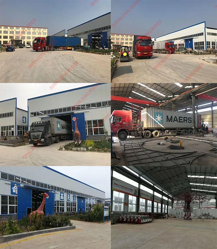 Cheap price China Supplier Amusement park products miami rides crazy wave For sales.jpg