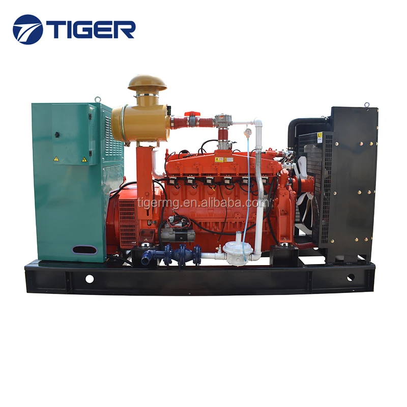 Combined Heat and Power Chp Boiler 100kw Biogas Generator Price