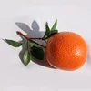 big orange