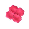 Rosa rosa