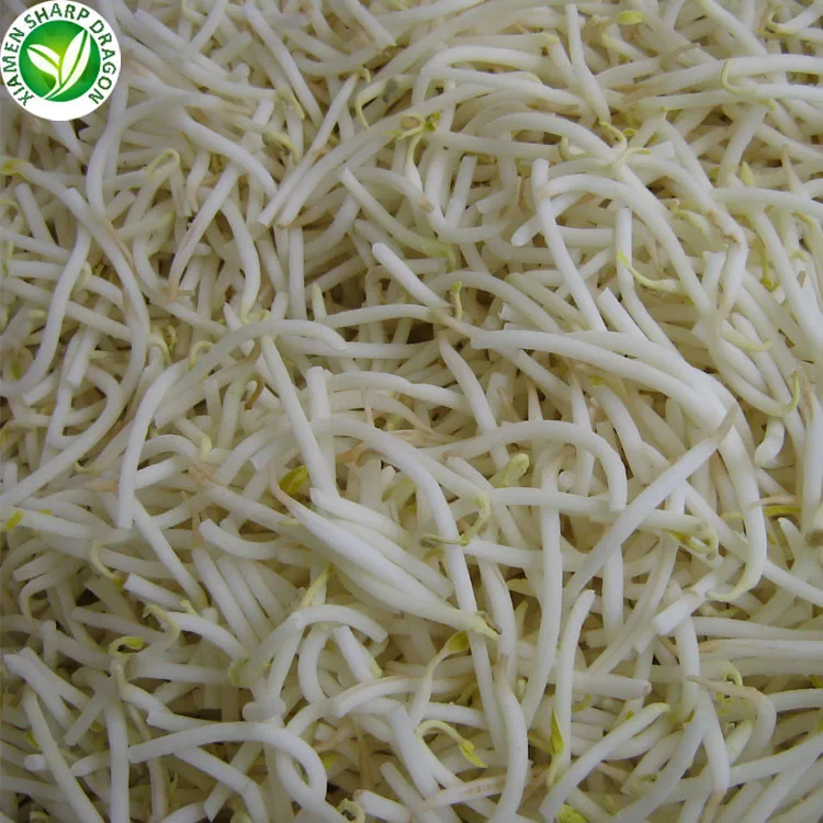 Productor wholesale maker price iqf green vegetable frozen sprouting mung beans