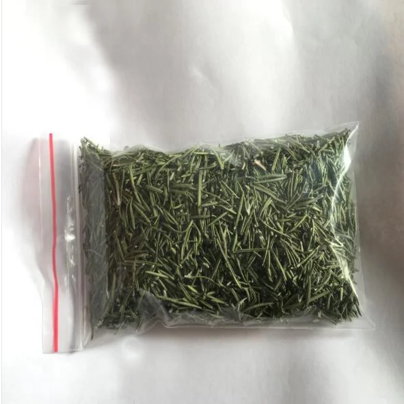 In chinese rosemary What are