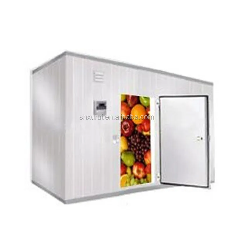 Freezer Cold Room with Condensing Unit in Pakistan Project