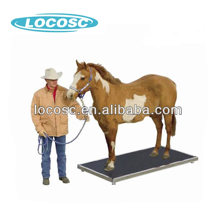 LOCOSC Livestock Goat Rfid Digital Weighing Scale Live Cattle Weighing Scales