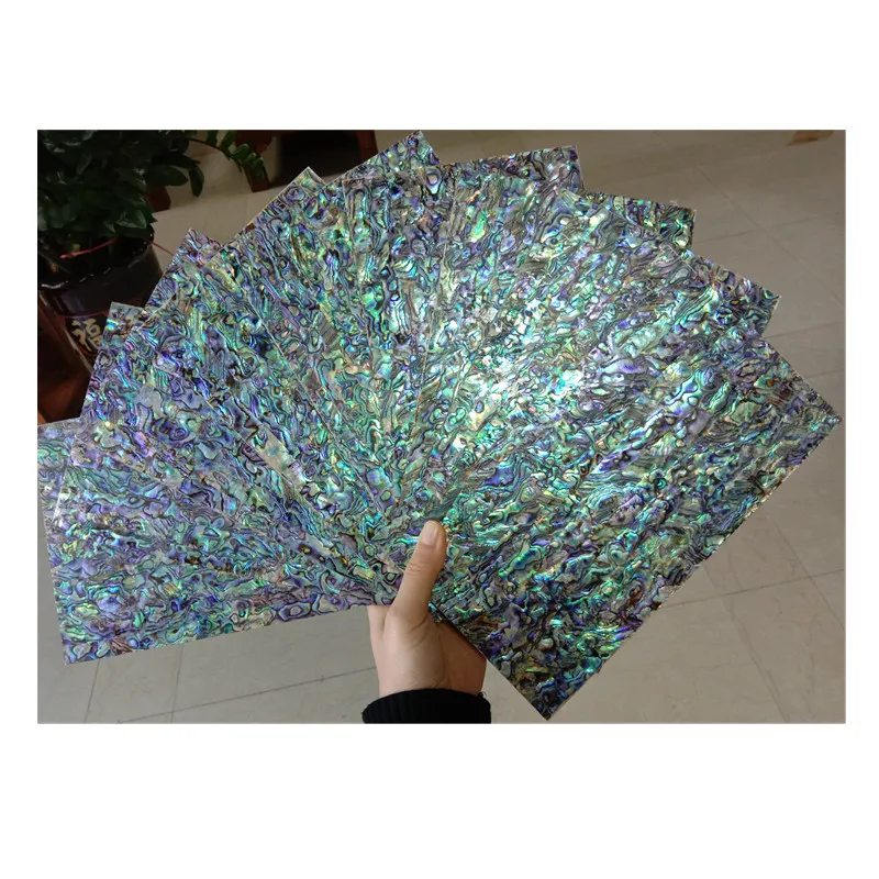 1mm Paua Abalone Shell Sheets Natural Paua Shell Laminate