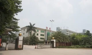 Shanghai P-Luck International Logistics Co., Ltd.