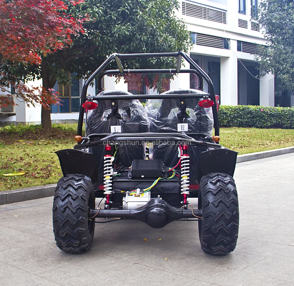 Adult Go Kart Brushless Motor 5000w 2 Seater Buy Go Karts For Adults Electric Go Karts,Adult