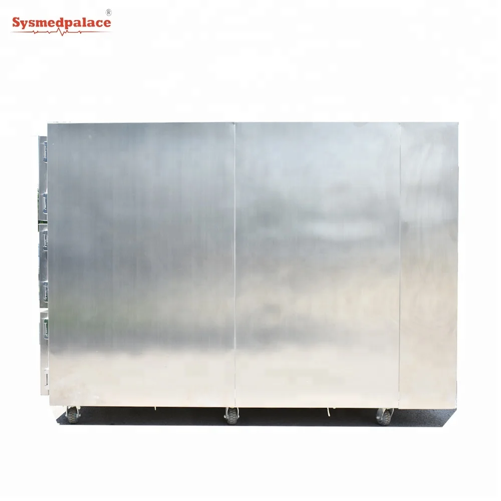 SYSMEDPALACE Mortuary Equipment Mortuary Body Coolers Freezer Coffin Refrigerator Mortuary Refrigeration  Price
