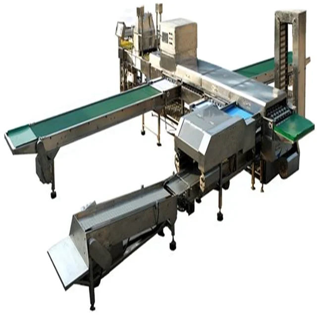 Fresh Egg Cleaning Grading Packaging Line