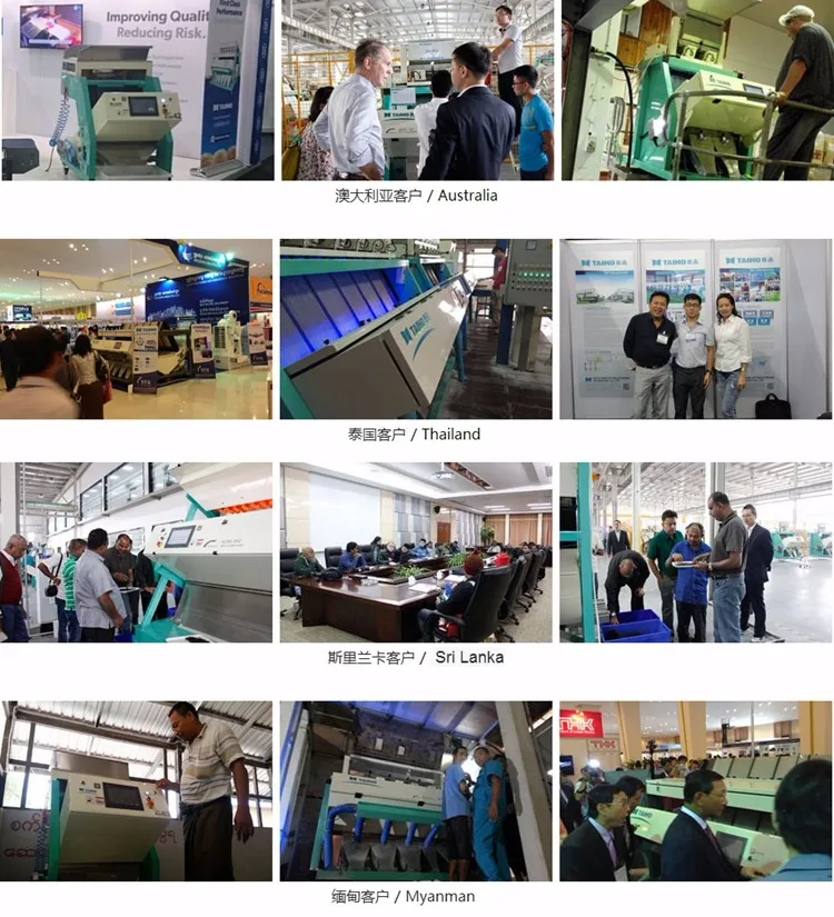 Cashew Nut Processing Machine for Color Sorting